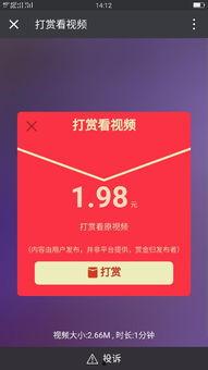 微信群爆料视频怎么弄的,轻松掌握概述文章副标题撰写方法